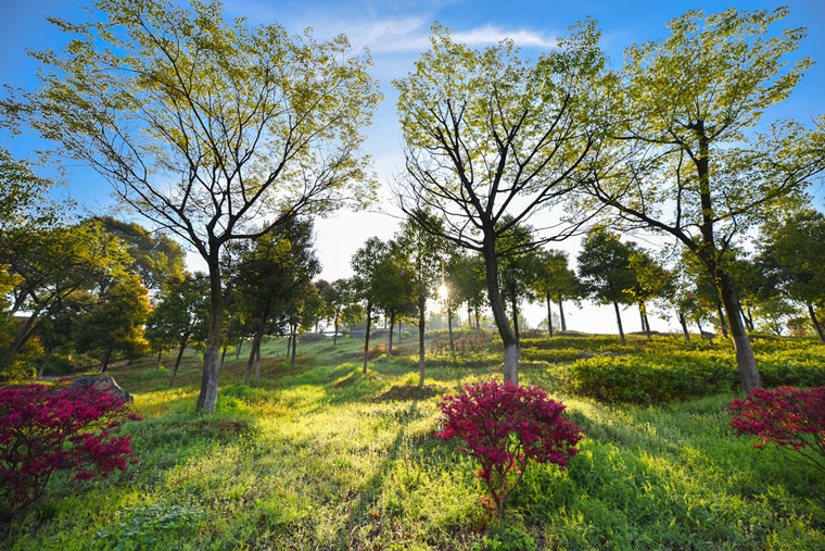 黃陂木蘭花谷風景區(qū)